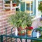 8-Pack Artificial Greenery Stems – Fake Eucalyptus and Boxwood Plants for Farmhouse, Bathroom, Office, Vase Centerpiece, Indoor & Outdoor Decoration (Dusty Green)
